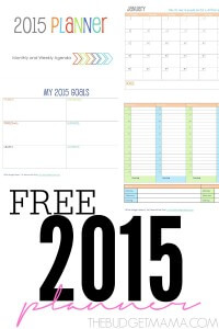 Need a 2015 Planner but don't have room in the budget? This 67 page free planner is easy-to-use and will help you organize your hectic schedule along with your yearly goals.