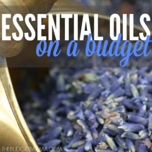 Essential Oils on a Budget SQ