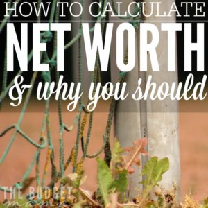Do you know how to calculate net worth and why it's important? If not, this worksheet will help you calculate your net worth and give you a money snapshot.