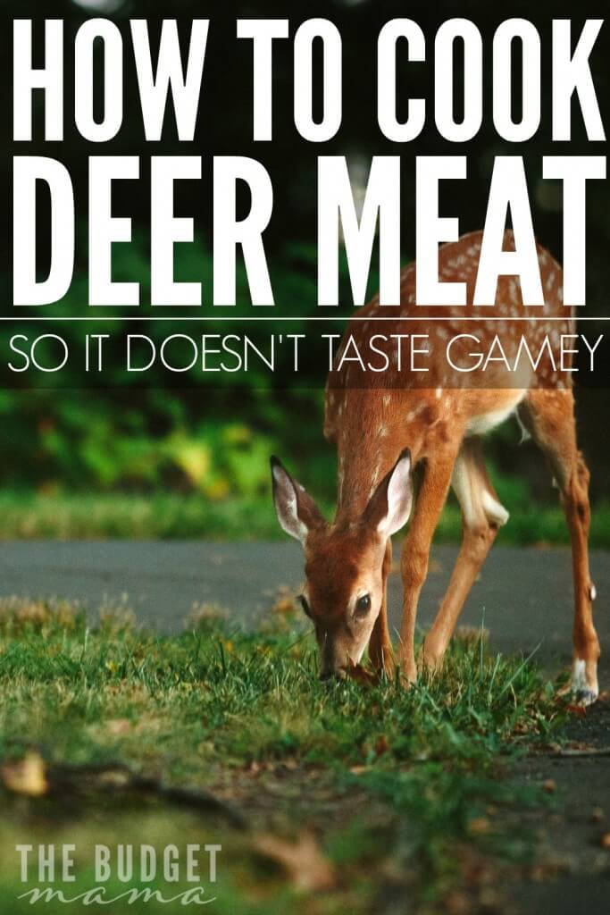 easy for me to learn how to do. Since deer meat saves us so much on our grocery bill I had to figure it out and these are just a few of the ways that I use to help make deer meat taste a little better. 