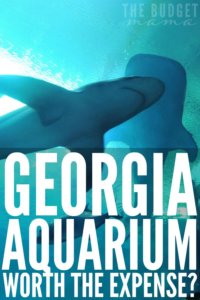 Is the Georgia Aquarium worth the expense? YES! Okay, so how do you afford to pay for a visit in cash? This is our experience and how we paid in cash for it.