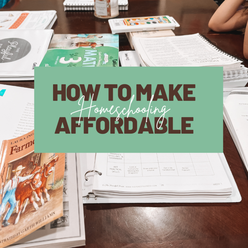 Homeschooling doesn't have to break the bank. Here's how to make homeschool affordable!