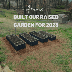 We built a raised garden for our 2023 "frugal" garden. Our total costs for our new garden and how we built it!