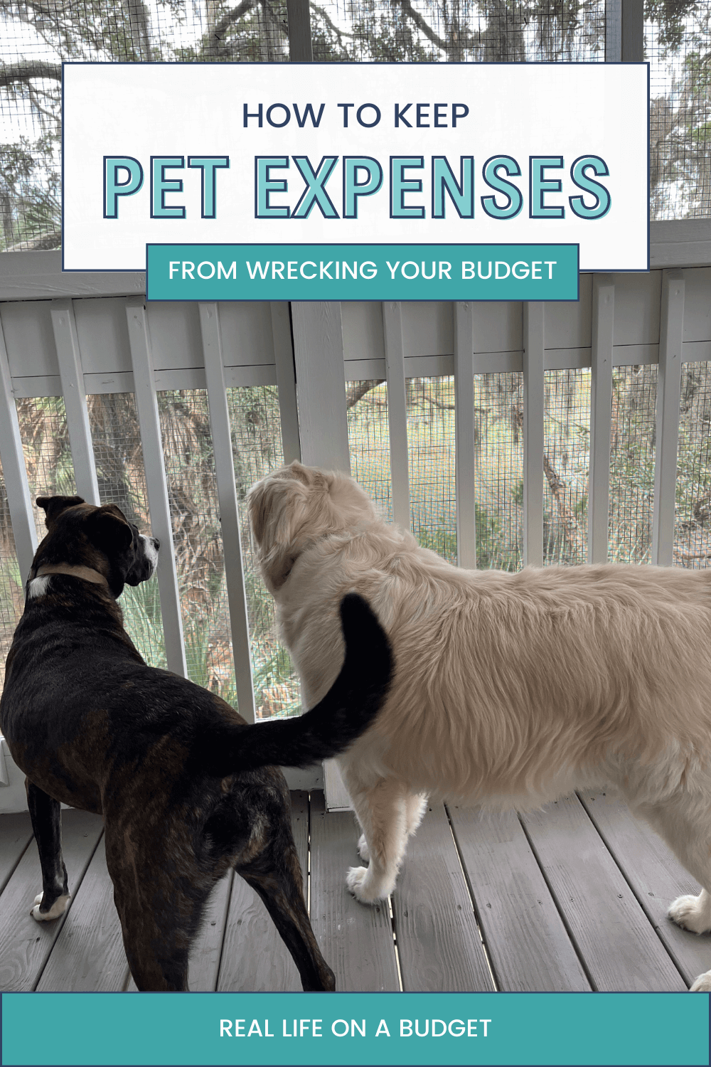 How to keep Pet Expenses from wrecking your budget Jessi Fearon