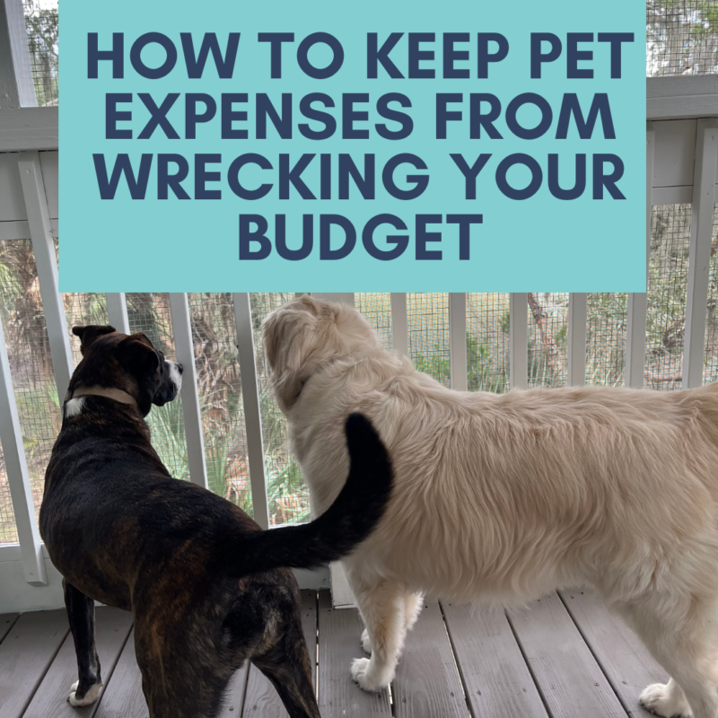 We love our fury ones but they can sometimes be expensive. Here's how we budget to pay for pet expenses to keep them from wrecking our budget.