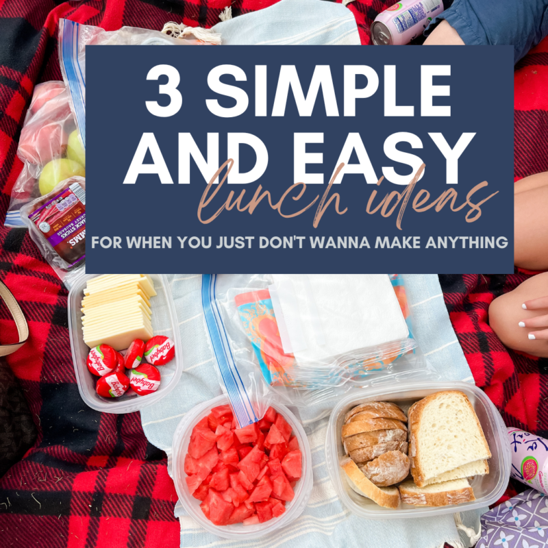 Here are three simple and easy lunch ideas for when you just don't feel like making anything!
